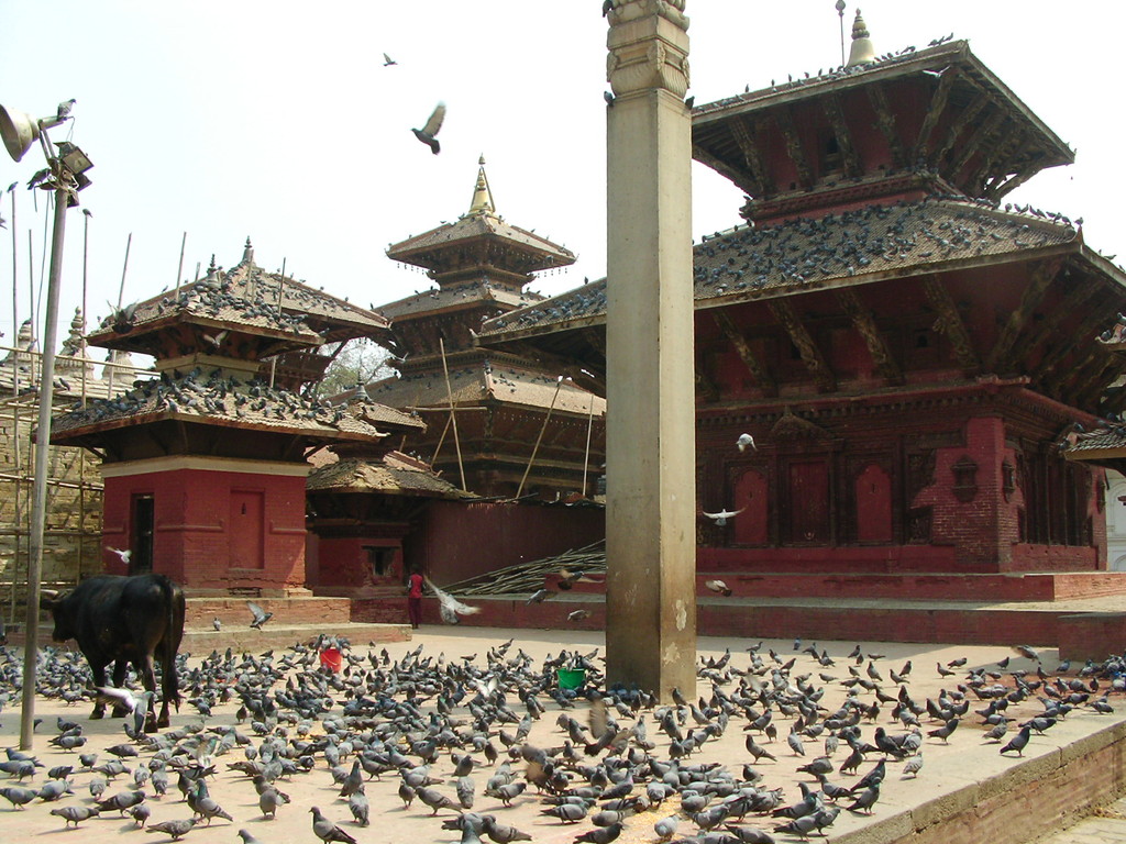 ネパールのカトマンズのダルバールスクエアの写真