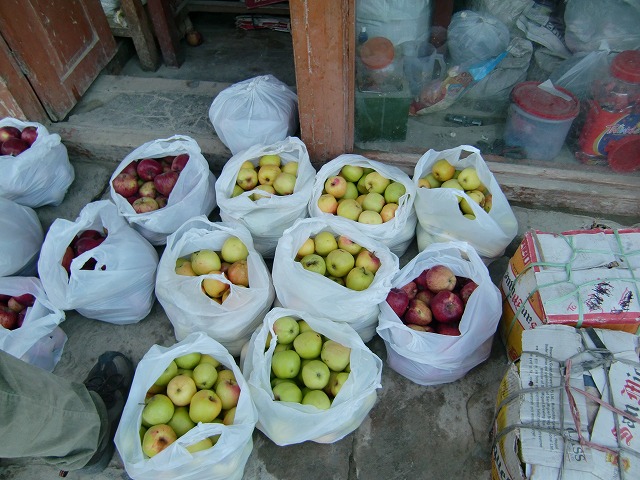 ネパールのマルファのリンゴ
